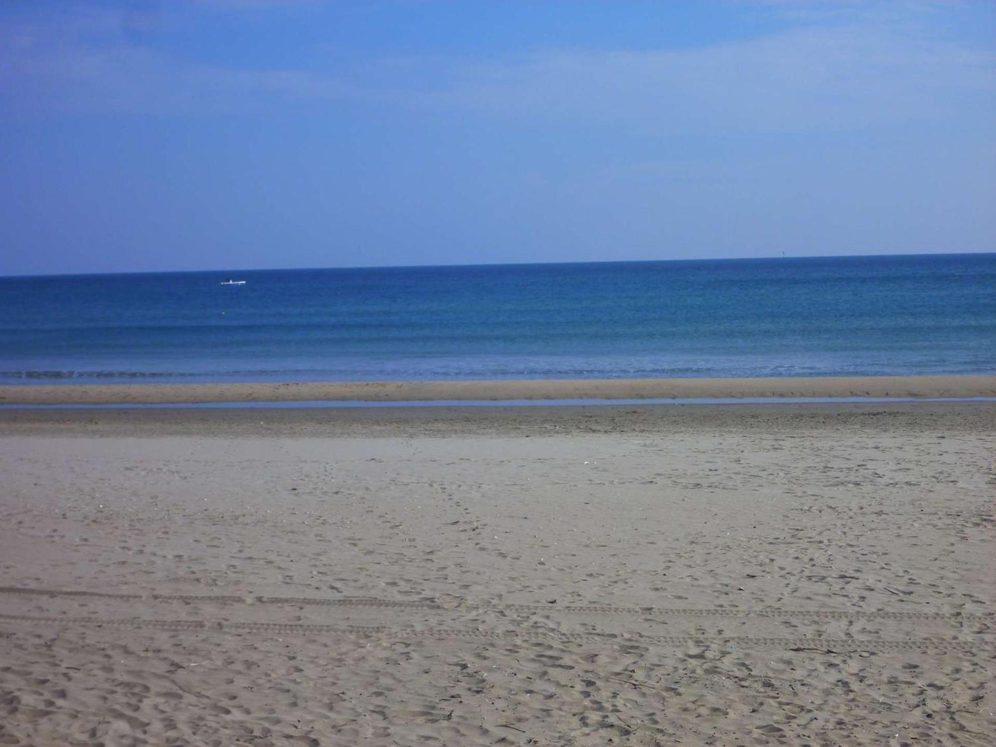 Apartment Duplex A 40m De La Avec Garage, Grande Terrasse Et Animaux Acceptes - Fr-1-387-42 Marseillan (Herault)
